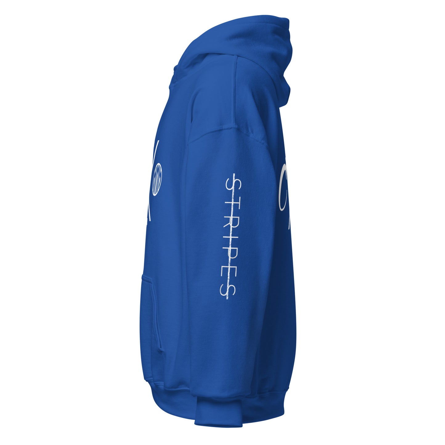 Re-Elected Unisex Hoodie